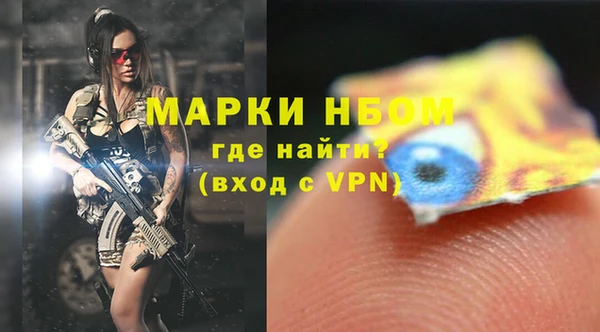 индика Нефтекумск