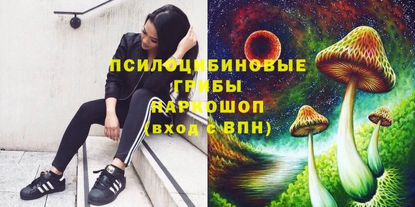 прущая мука Нея