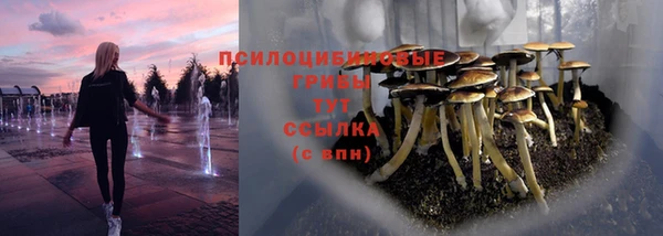 прущая мука Нея