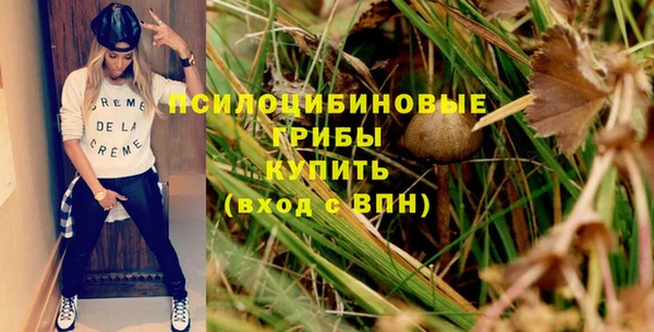 твердый Нефтегорск