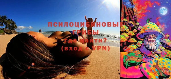 индика Нефтекумск