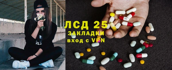 индика Нефтекумск