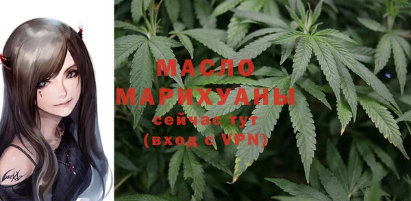 индика Нефтекумск