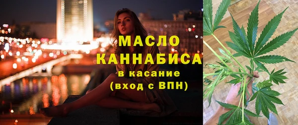 индика Нефтекумск