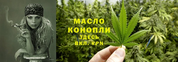 индика Нефтекумск