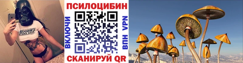 Галлюциногенные грибы мухоморы  ОМГ ОМГ ССЫЛКА  Шали 